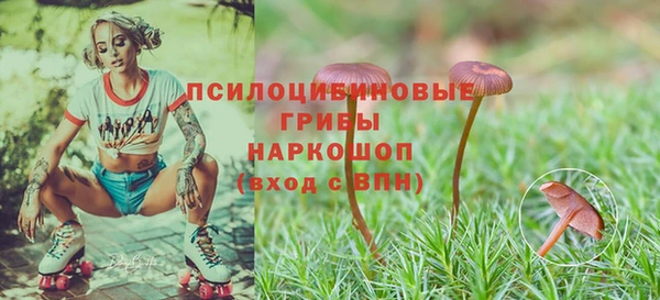 каннабис Верхний Тагил