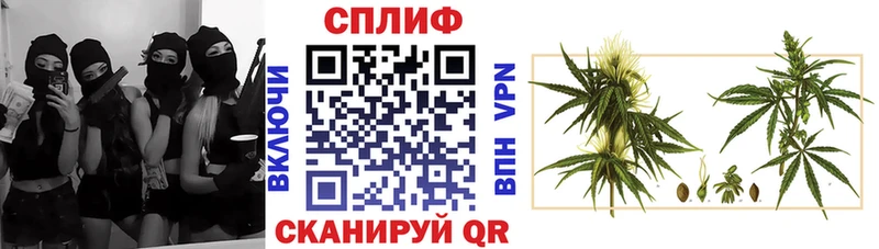наркотики  shop наркотические препараты  Каннабис конопля  Орехово-Зуево 